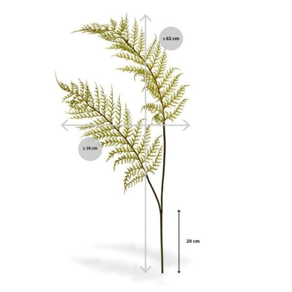 Varen kunsttak PL x2 80 cm Deze dubbel gevederde kunststof Varen takken zijn bijzonder gedetailleerd nagemaakt en perfect te gebruiken in arrangementen of met meerdere op te steken in decoratieve sierpotten. De kunststof steel is bekleed zijn met heel fijne sprietjes. Hierdoor heeft deze Varen een heel natuurlijke uitstraling. De lengte is ongeveer 82 cm