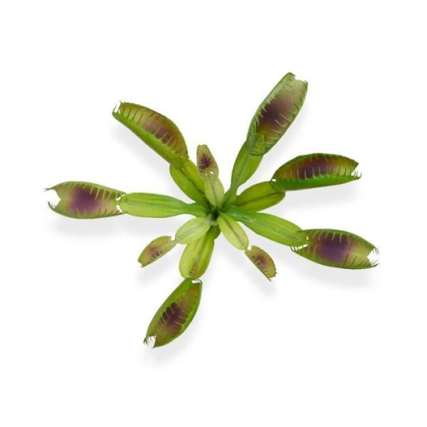 Kunstbloemen ook wel Vliegenvanger genoemd