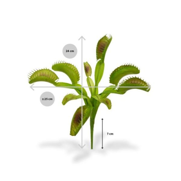 Venusplant Boeket 20 cm Dit Venusplant kunstboeket (Dionaea muscipula)