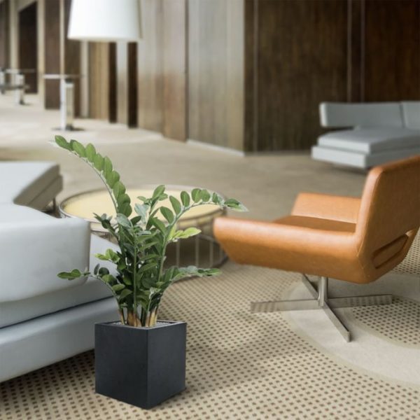 Zamioculcas 100 cm kunstplant 6