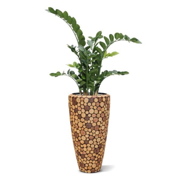 Zamioculcas 100 cm kunstplant 9