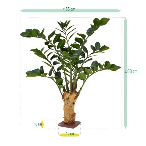 brede schaal te plaatsen