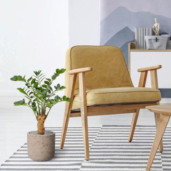 ontstaat een heel luxe en decoratieve combinatie voor op kantoor! Standaard is de plant gemonteerd op een houten voetje van 10x10 cm. De afgebeelde sierpotten zijn tegen meerprijs direct mee te bestellen. Vanaf 2 stuks profiteert u al van een korting!