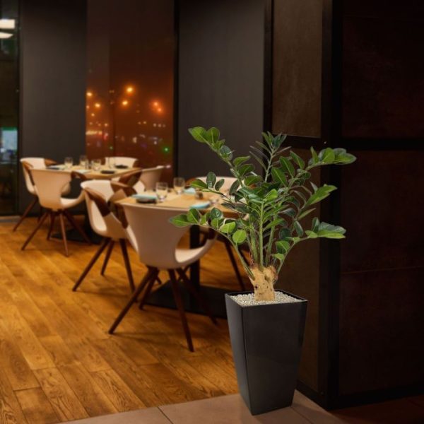 Zamioculcas 65 cm kunstplant op voet 5