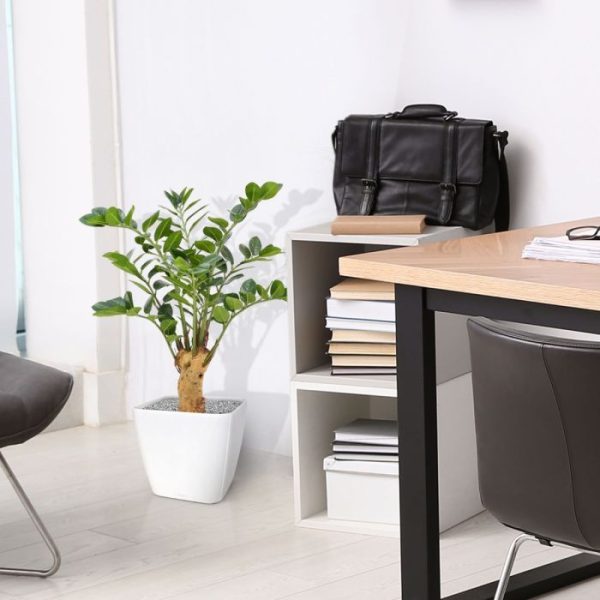 Zamioculcas 65 cm kunstplant op voet 9