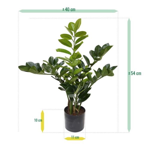 Zamioculcas kunstplant 55 cm 10