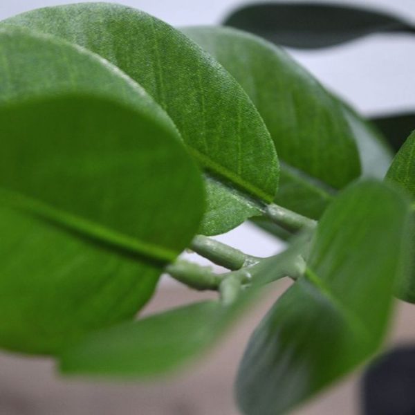 Zamioculcas kunstplant 55 cm 7