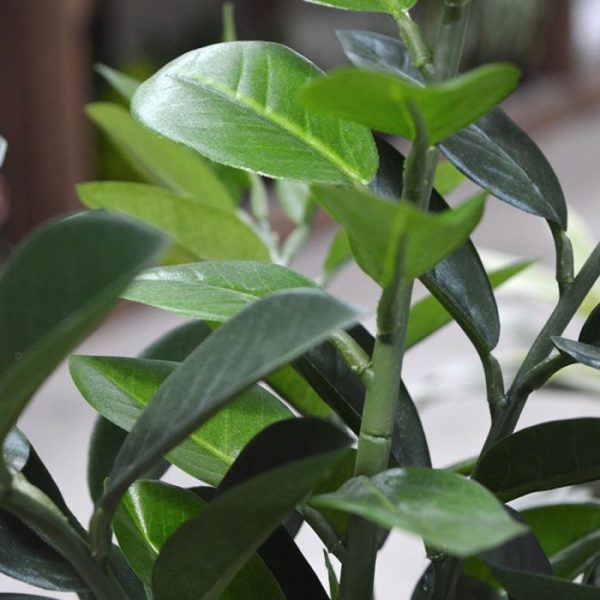 Zamioculcas kunstplant 55 cm 9