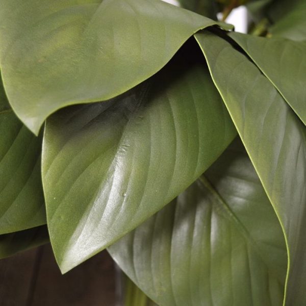 Kunst bladtakken Zijden Strelitzia blad deluxe 75 cm 2