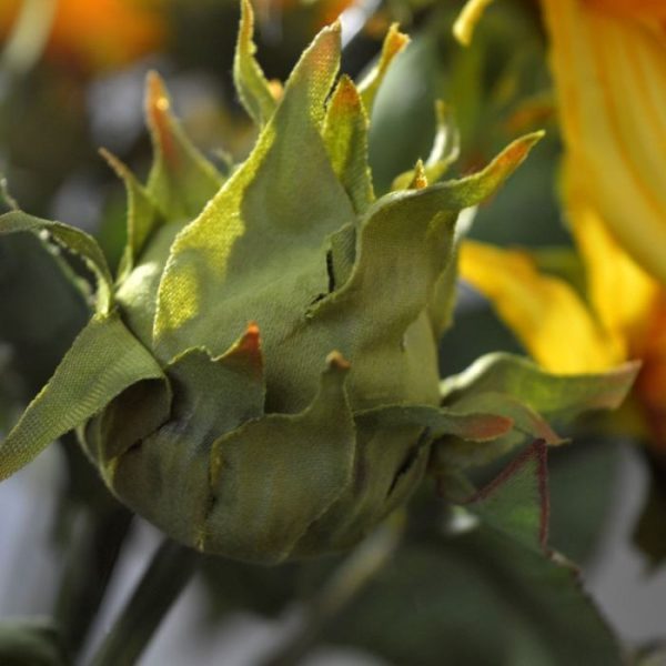 3 bladeren en 1 grote knop. Een prachtige bloem met een zeer natuurgetrouwe uitstraling die zich makkelijk laat verwerken in boeketten en arrangementen. De natuurlijk oogende steel bloem heeft een lengte van 55 cm en een breedte van ongeveer 25 cm. Vanaf 12 stuks kunt u gebruik maken van de speciale voordeel prijs.