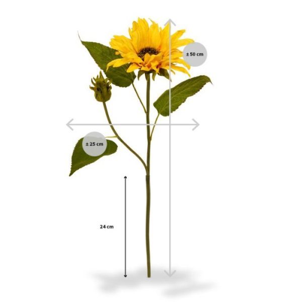 tot in detail nagemaakte bloemblaadjes en fijne haartjes in het hart