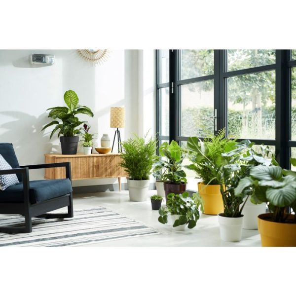 Kunststof plantenbakken b.for original round 22 liv black 2