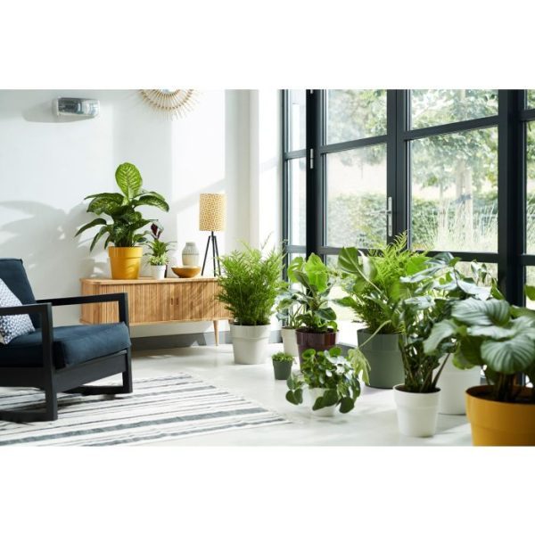 b.for original round 25 liv black b.for original round 25 liv black