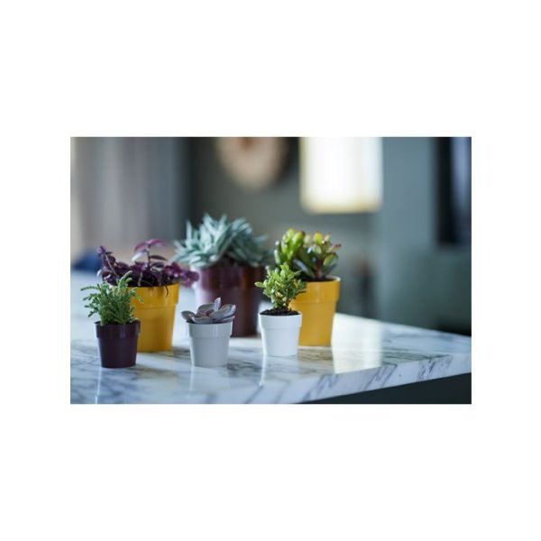 Plantenbakken b.for original round mini 11 white 1