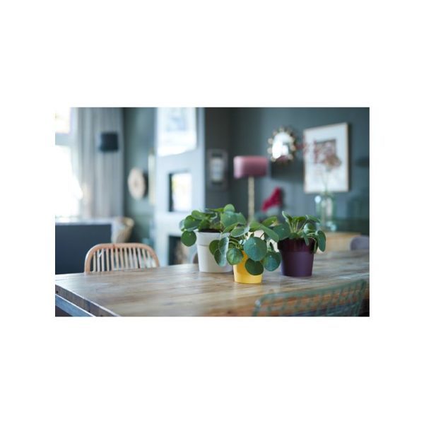 b.for original round mini 13 white b.for original round mini 13 white