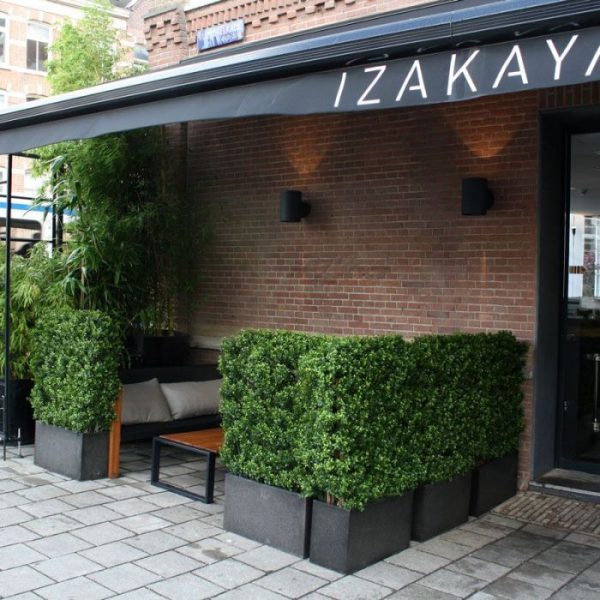 Buxus-Heg-Deluxe-80x100-cm-3 zodat het geheel eenvoudig in een rechthoekige bak te plaatsen is. De afgebeelde plantenbak is dus niet bij de prijs inbegrepen.  Let op! De stam is van echt hout en dus vatbaar voor weersinvloeden en zwammen. Voor een langere levensduur raden wij aan om de stam te behandelen met een primer of beits.