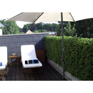 Deze Kunstbuxus Heg Deluxe 80x100 cm is gemaakt van kwalitatief pvc-plastic