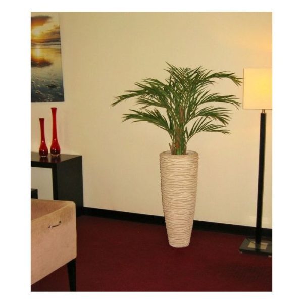 Kunstpalmen welke zijn nagemaakt van polystone en zijn afgewerkt met echt palmenschors. De Areca palm deluxe is tevens leverbaar in de maat 180cm. De plant wordt standaard geleverd in een plastic pot. De afgebeelde sierpot (Lechuza Cubico 30x30x56cm