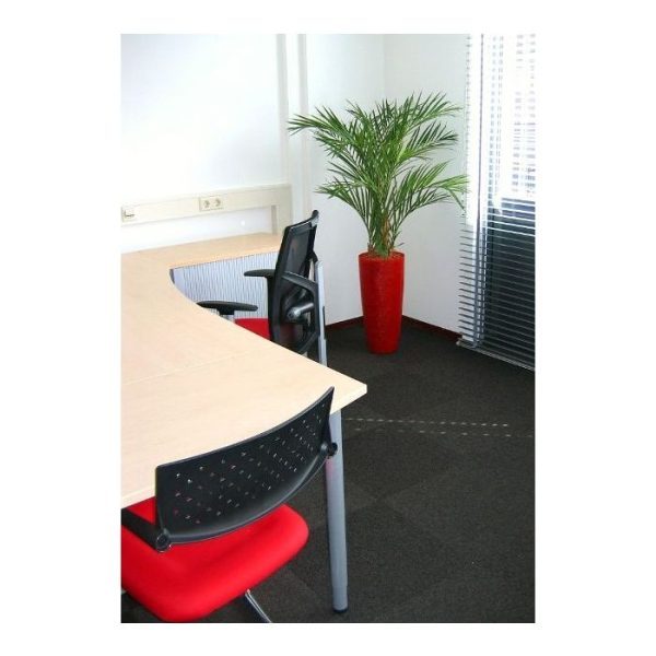 Areca kunstpalm Deluxe 125cm De Areca Palm Deluxe is een ware lust voor het oog en bijna niet van echt te onderscheiden! Deze goedgevulde Areca Palm met 2 hoofdstammen
