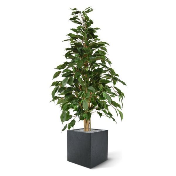 Ficus Exotica kunstplant 120cm groen 3
