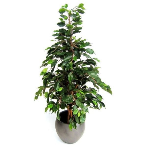 Ficus Exotica kunstplant 120cm groen 4