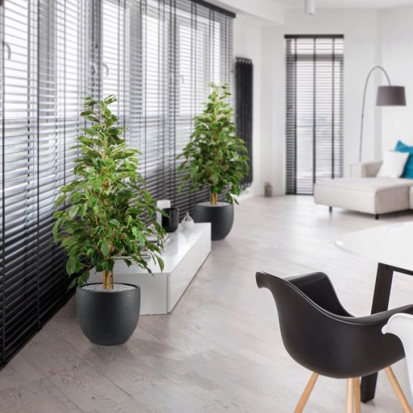 Ficus Exotica kunstplant 120cm groen 6