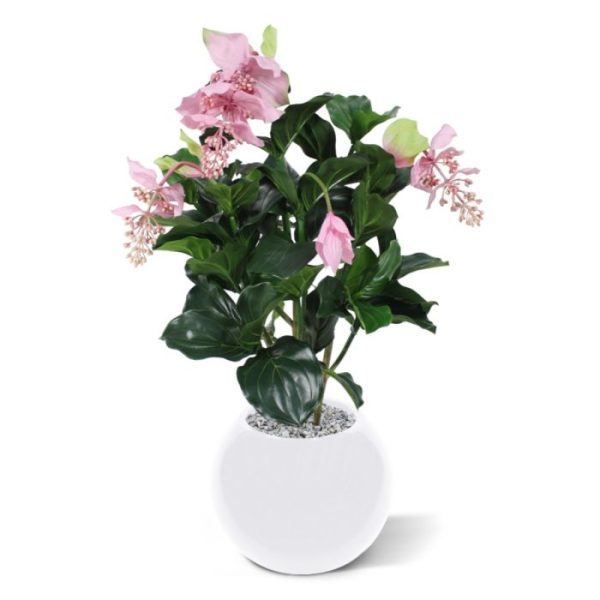 Medinella-kunstplant-deluxe-100-cm-10 Medinella kunstplant deluxe 100 cm 10