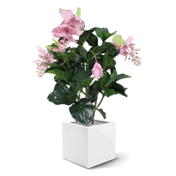 Bloeiende kunstplanten heeft 2 bloemen in de knop en 3 grote