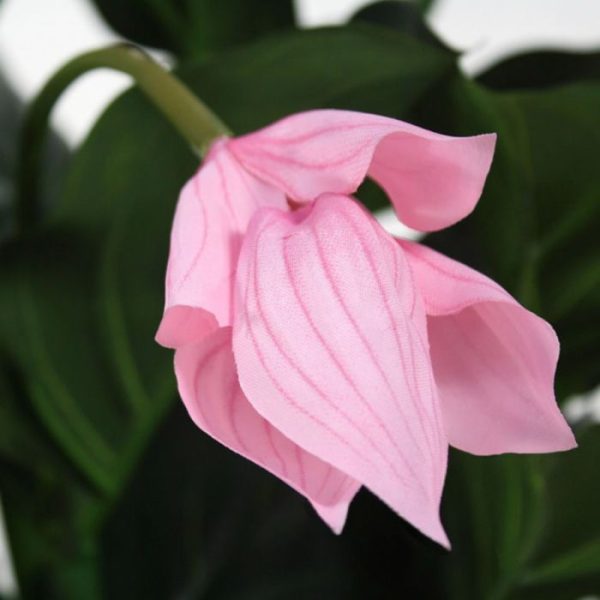 Medinella-kunstplant-deluxe-100-cm-3 weelderige bloemen die