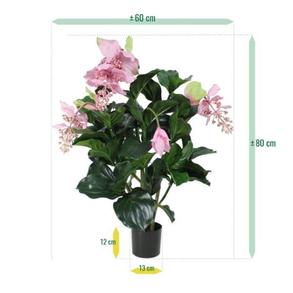 Medinella-kunstplant-deluxe-100-cm-5 schitterend afhangen.   De zijden Medinella is ongeveer 85 cm hoog