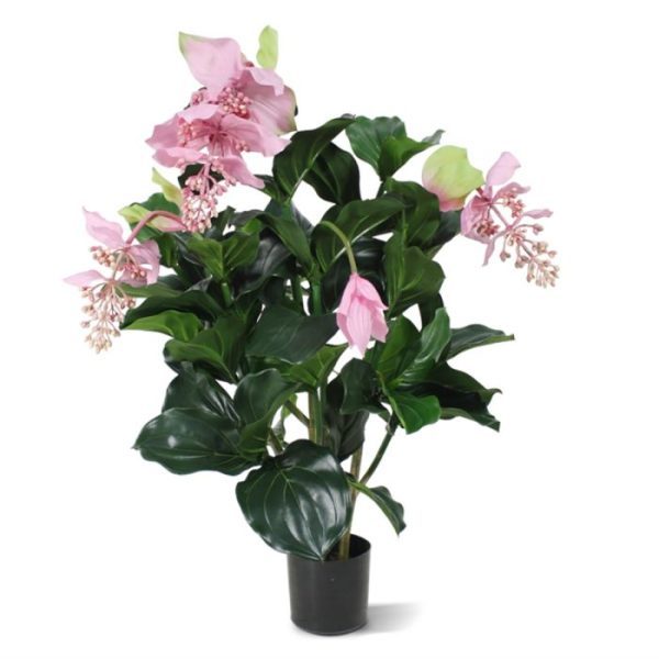 Medinella-kunstplant-deluxe-100-cm-9 Medinella kunstplant deluxe 100 cm 9