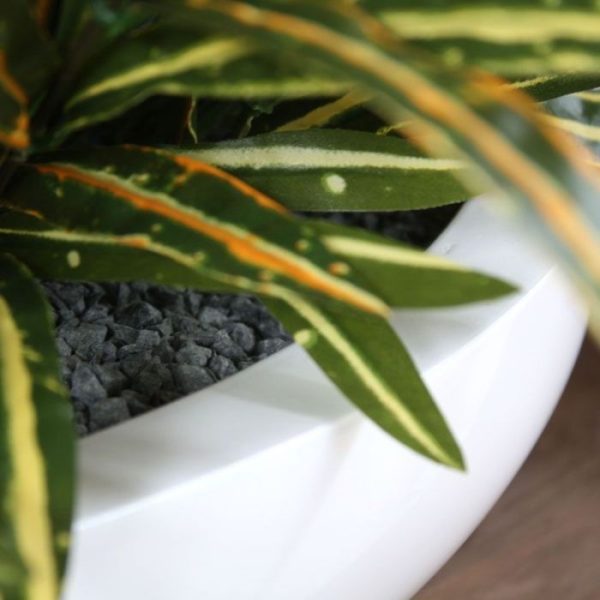 Kunst Hangplanten en kenmerkt zich aan de bijzondere bladprint en opvallende kleurstelling. Het Acuba boeket is perfect geschikt voor het maken van decoratieve arrangementen en kunnen met meerdere opgestoken worden in een platte schaal. Mooi voor thuis