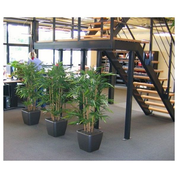 Bamboe-150-cm-FR-5 Bamboe 150 cm FR 5