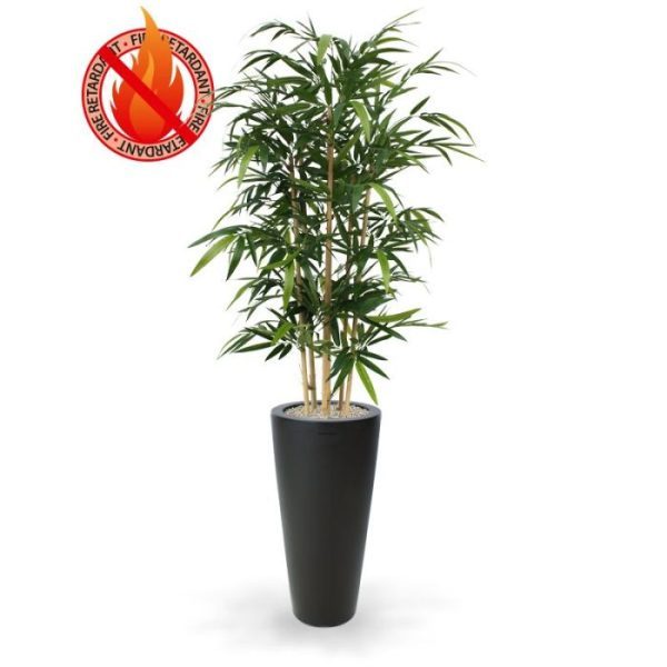 Bamboe 150 cm FR Dit is de bestseller onder de kunstbomen en van een bijzondere topkwaliteit! Deze brandvertragende Bamboe 150 cm is gemaakt van echte bamboe stokken en het kunstzijden bamboe blad behoort tot het meest natuurgetrouwe! De hoogte van de kunstboom is ongeveer 150 cm de breedte bedraagt ongeveer 90 cm. Standaard wordt deze boom in een plastic binnenpot geleverd. Deze kunstplant is brandvertragend behandeld en zal in open vuur niet snel ontbranden. Derhalve voldoen ze aan de gestelde normen.