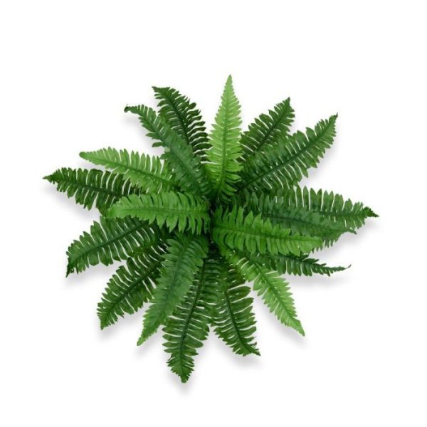 Boston Varen Deluxe 45 cm boeket 4