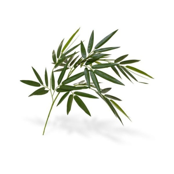 Kunstbloemen dus vraag ons gerust om advies! De materialen van dit product zijn bovendien brandvertragend