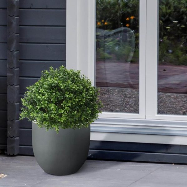 Buxus-Bol-Deluxe-40-cm-UV-10 Buxus Bol Deluxe 40 cm UV 10