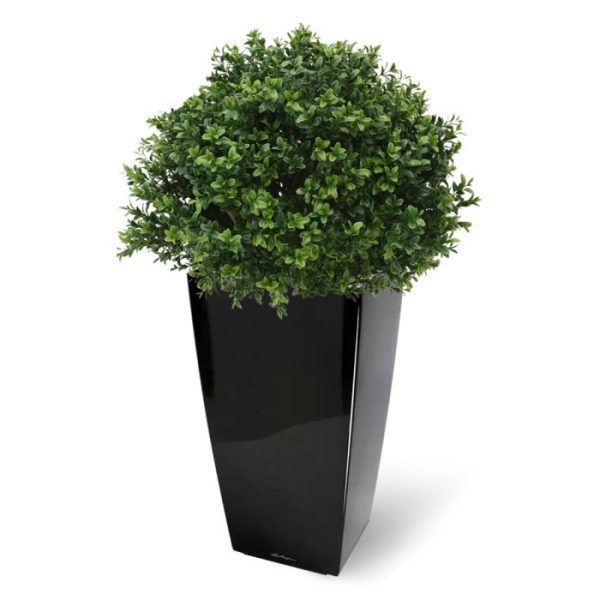 Buxus Bol Deluxe 40 cm UV Deze uv bestendige Buxus Bol Deluxe 40 cm is gemaakt van een hoogwaardig pvc. Daardoor is deze UV kunstboom ideaal om buiten mooie decoraties mee te maken.   De vernieuwde versie is met name door zijn kleur en nieuwe blaadjes bijna niet meer van de echte Buxus te onderscheiden! De Buxusbol is totaal 55 cm hoog. De diameter is 40 cm.   Standaard wordt de buitenplant geleverd in een plastic pot.   Omdat de UV-protector enkel in de grondstof van de kunststof delen is verwerkt