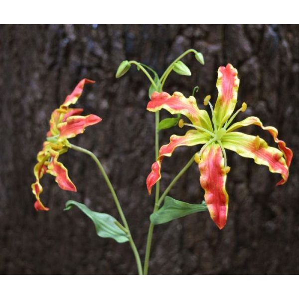 Gloriosa kunsttak deluxe 65 cm oranje 6