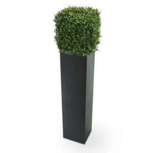 Werkelijk uniek in de kunstplanten wereld is deze UV bestendige Buxus Square. Omdat de UV-protector in de grondstof is verwerkt kunnen wij de garantie geven dat deze kunstbuksus gedurende 8 jaar lang niet verkleurt!  De vierkante vorm is nieuw aan ons assortiment toegevoegd en geheel gemaakt van een hoogwaardig pvc. Daardoor is deze UV kunstboom ideaal om buiten mooie decoraties mee te maken.  De vernieuwde versie is met name door zijn kleur en nieuwe blaadjes bijna niet meer van de echte Buxus te onderscheiden! De kunstbuxus meet aan alle zijden ongeveer 30 cm en wordt standaard geleverd in een plastic pot.  De Buxus Square is ook leverbaar in de maten 40 en 50 cm.