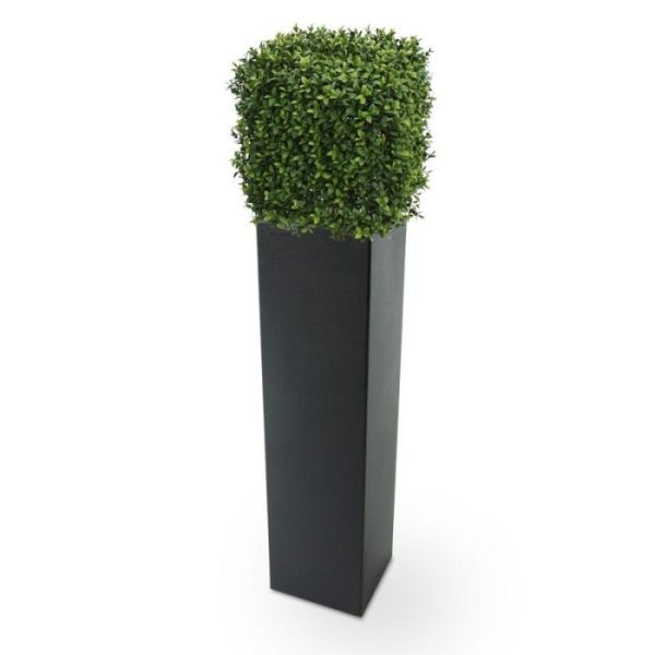 Kunst Buxus Vierkant 30 cm UV Werkelijk uniek in de kunstplanten wereld is deze UV bestendige Buxus Square. Omdat de UV-protector in de grondstof is verwerkt kunnen wij de garantie geven dat deze kunstbuksus gedurende 8 jaar lang niet verkleurt!  De vierkante vorm is nieuw aan ons assortiment toegevoegd en geheel gemaakt van een hoogwaardig pvc. Daardoor is deze UV kunstboom ideaal om buiten mooie decoraties mee te maken.  De vernieuwde versie is met name door zijn kleur en nieuwe blaadjes bijna niet meer van de echte Buxus te onderscheiden! De kunstbuxus meet aan alle zijden ongeveer 30 cm en wordt standaard geleverd in een plastic pot.  De Buxus Square is ook leverbaar in de maten 40 en 50 cm.
