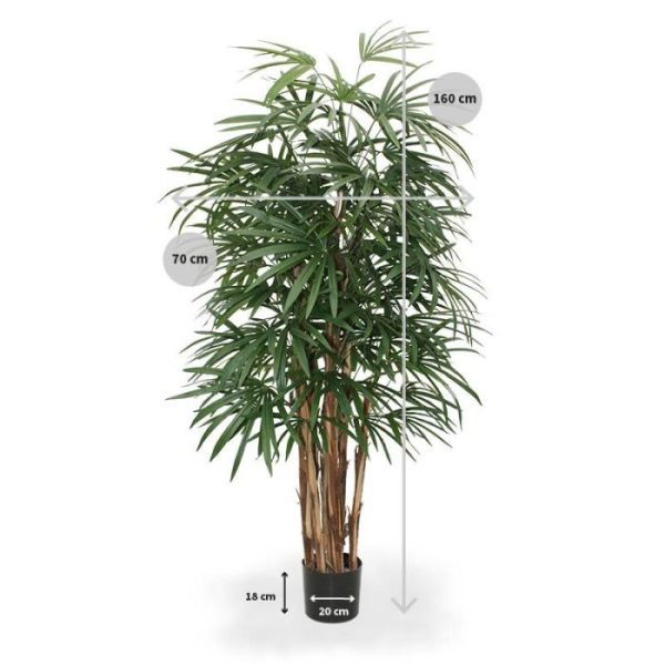 Raphis-Kunstpalm-Deluxe-160-cm-FR-3 dan zie je dat het familie is van de Fan Palm.  Zo ook onze brandvertragende Raphis Palm Deluxe 160 cm. Doordat we de lange bladeren in waaiervorm hebben geconstrueerd is deze niet te onderscheiden van een echte. Extra aandacht is gegaan naar de zeer geraffineerde stammen van echt hout. Deze palm is een topproduct.  De kunstpalm is 160 cm hoog en heeft een breedte van wel 70 cm. De 7 stammen vormen de basis om de palm in een hoge of lage pot te zetten.   Deze kunstplant is brandvertragend behandeld en zal in open vuur niet snel ontbranden. Derhalve voldoen ze aan de gestelde normen.