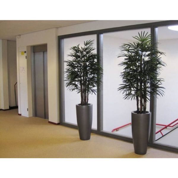 Raphis-Kunstpalm-Deluxe-160-cm-FR-4 Raphis Kunstpalm Deluxe 160 cm FR 4