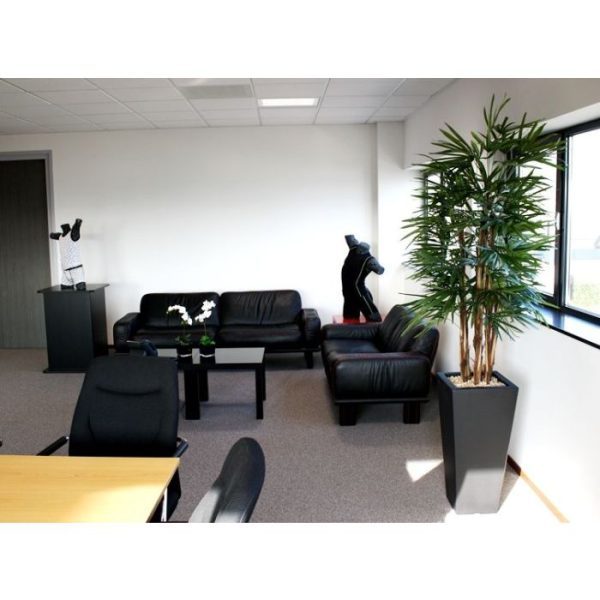 Raphis-Kunstpalm-Deluxe-160-cm-FR-5 Raphis Kunstpalm Deluxe 160 cm FR 5