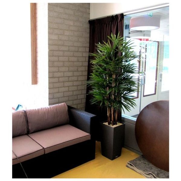 Raphis-Kunstpalm-Deluxe-160-cm-FR-6 Raphis Kunstpalm Deluxe 160 cm FR 6