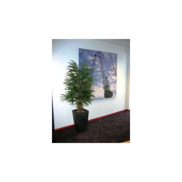 Raphis-Kunstpalm-Deluxe-160-cm-FR-7 Raphis Kunstpalm Deluxe 160 cm FR 7