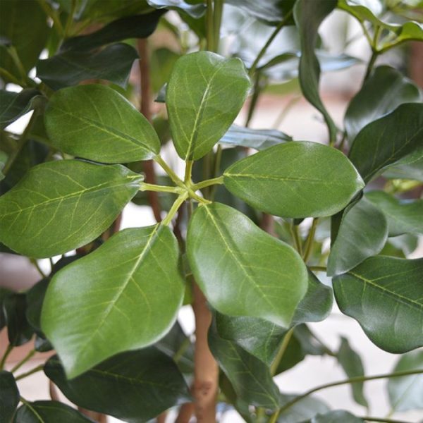 Schefflera-Exotica-120-cm-FR-kunstplant-4 Schefflera Exotica 120 cm FR kunstplant 4