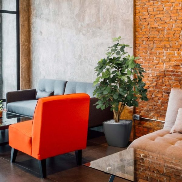 Schefflera-Exotica-120-cm-FR-kunstplant-7 Schefflera Exotica 120 cm FR kunstplant 7