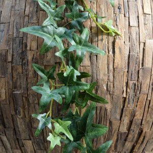 Deze schitterend Ster Hedera kunst guirlande 180 cm groen ziet er bijzonder natuurgetrouw uit. Het kunstzijden stervormige blad heeft een natuurgetrouwe kleur en een perfect nagemaakte bladnerf en is van de hoogste kwaliteit kunstplanten.   De frisse bladprint van deze kunstzijden Ster Hedera guirlande