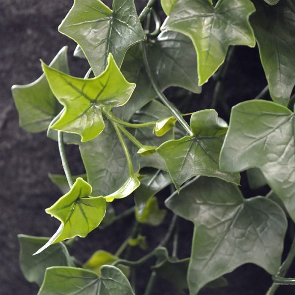 Hedera-kunsthangplant-100-cm-UV-3 de breedte is ongeveer 30 cm. Door de pin is deze makkelijk middels een schroefoog op te hangen.   Grote delen van deze hanger zijn uit 1 stuk gegoten waardoor hij echt wel tegen een stootje kan. Een echte aanrader voor buiten!   Profiteer van de voordeel prijs vanaf 6 stuks. Tevens verkrijgbaar in de lengtes 65 en 80 cm.
